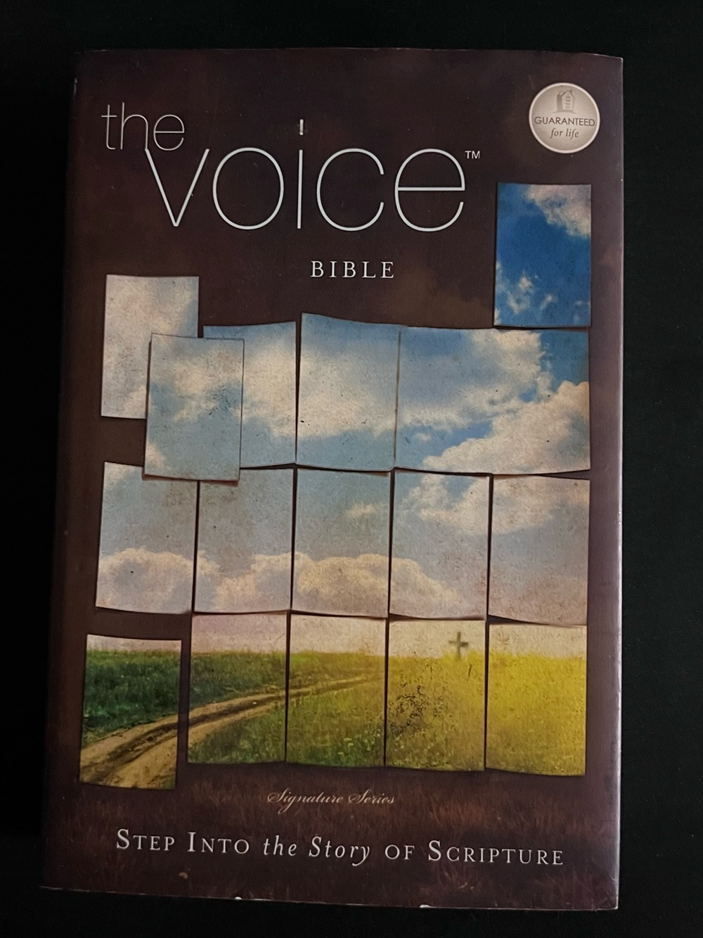 The Voice Bible - Illustrated Cover in Brown, Blue, Green, Yellow